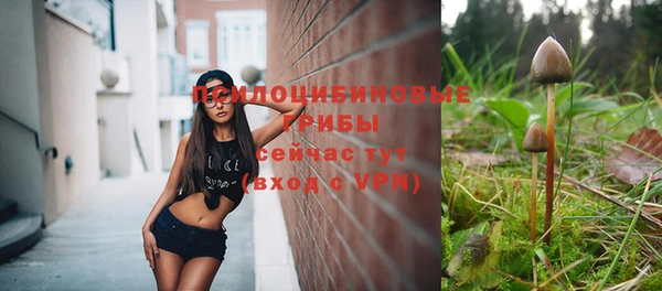 соль курить ск Бородино