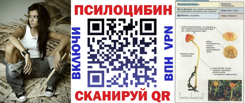 Галлюциногенные грибы MAGIC MUSHROOMS  Химки 